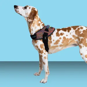 Zee.Dog Fly Harness Vortex Size 1